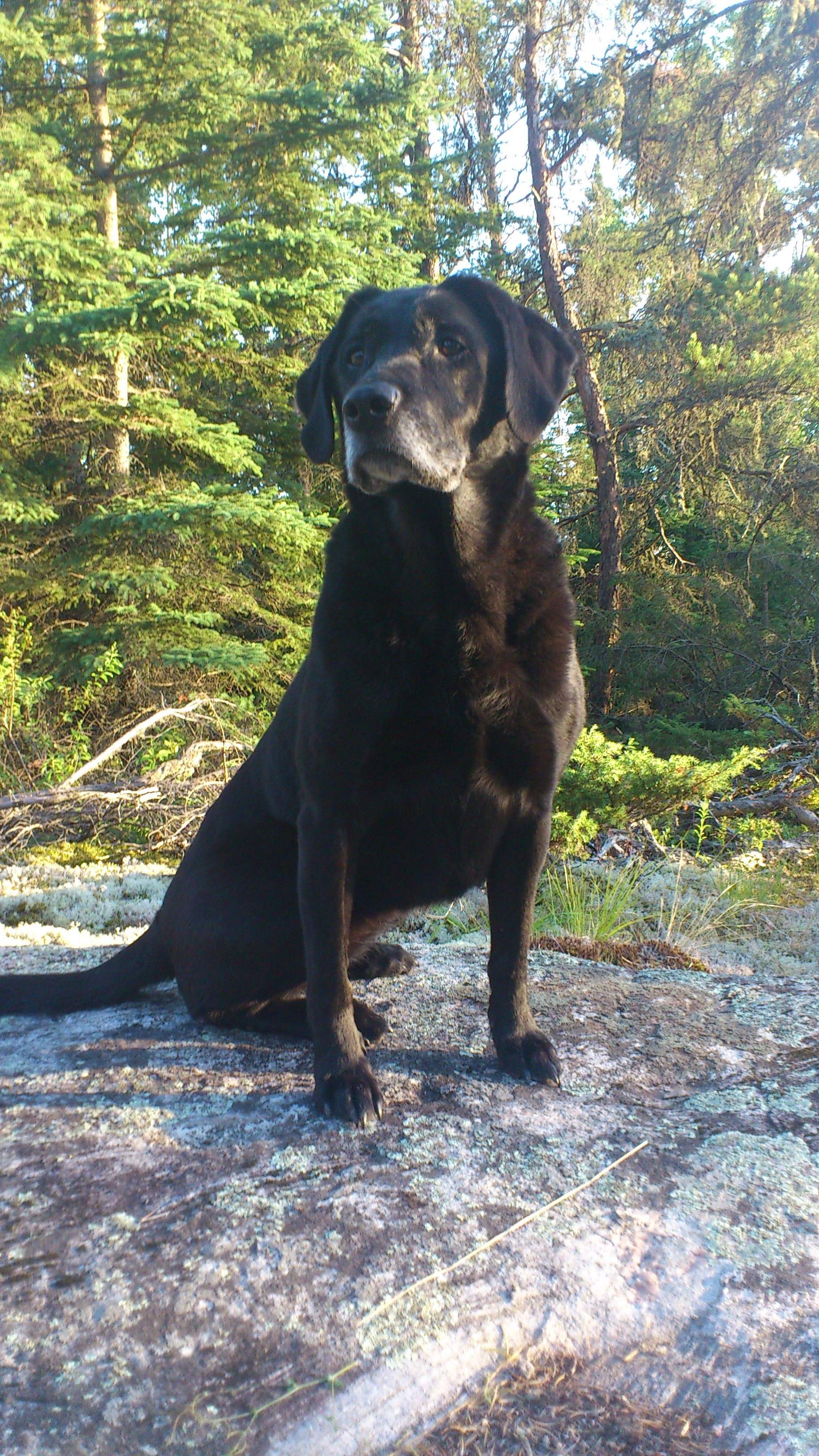 DSC_0475.JPG