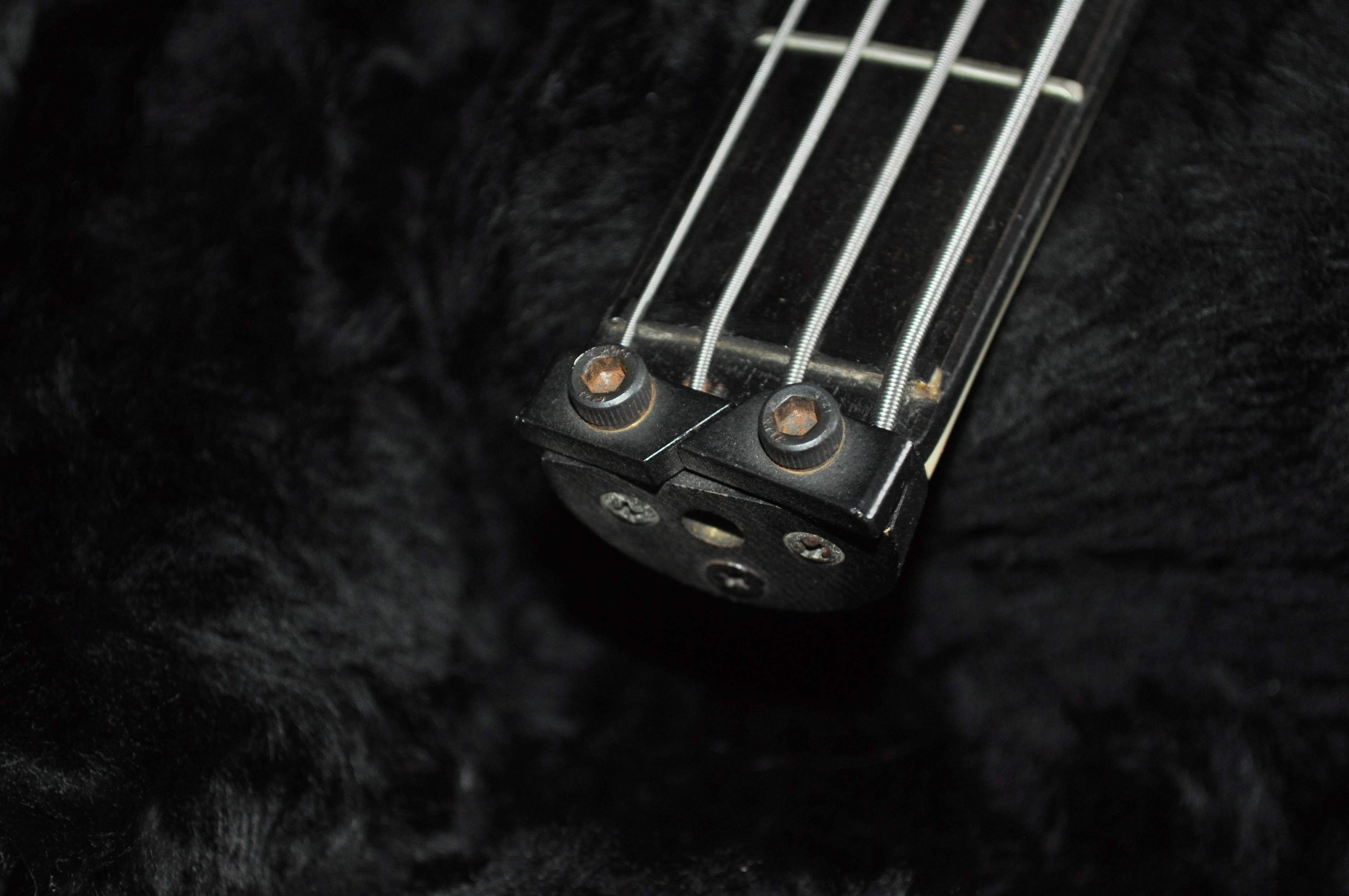 DSC_0561.JPG