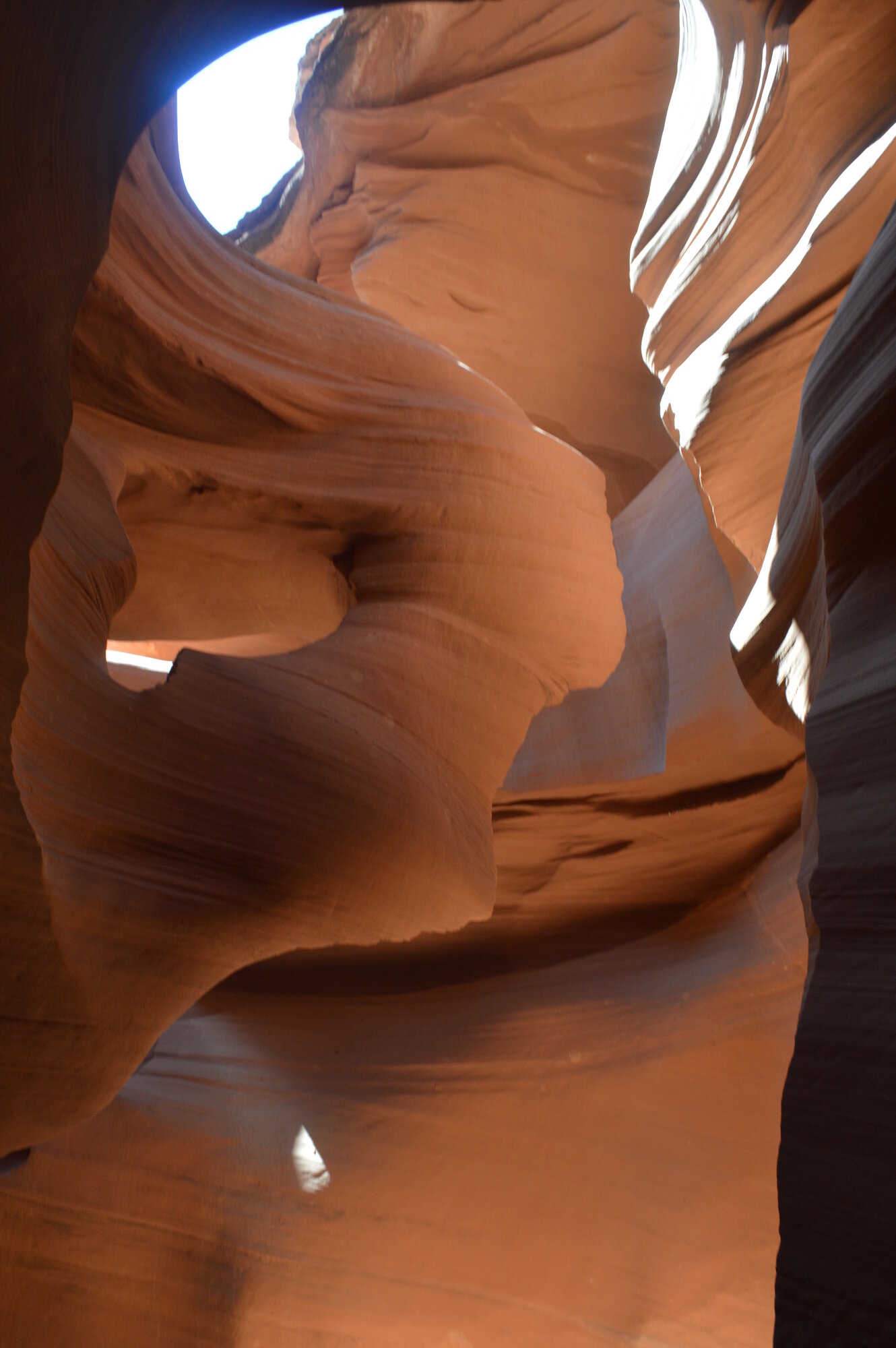 DSC_0605.JPG