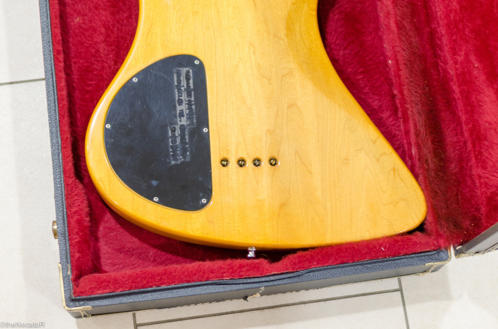 DSC_0780_zpss84vabnh.jpg