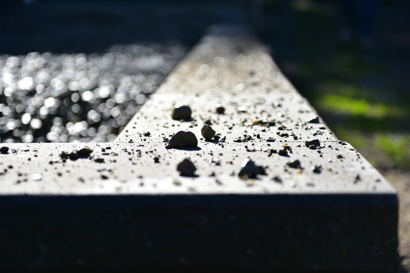 DSC_1939.jpg