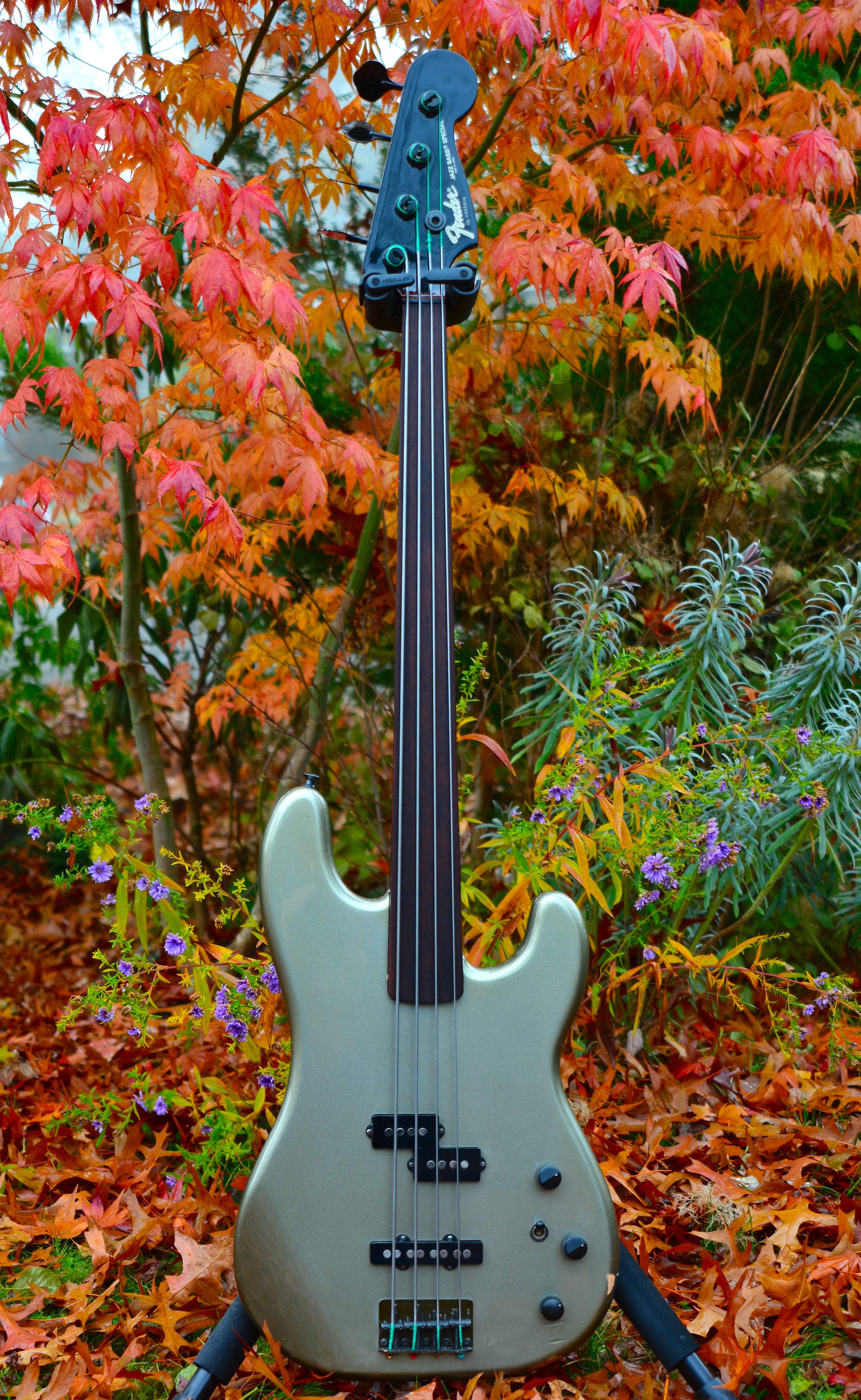 DSC_2785.JPG