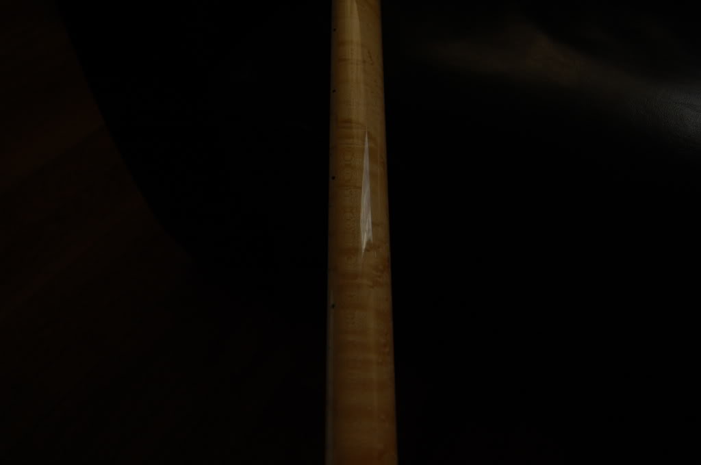 DSC_4545.jpg