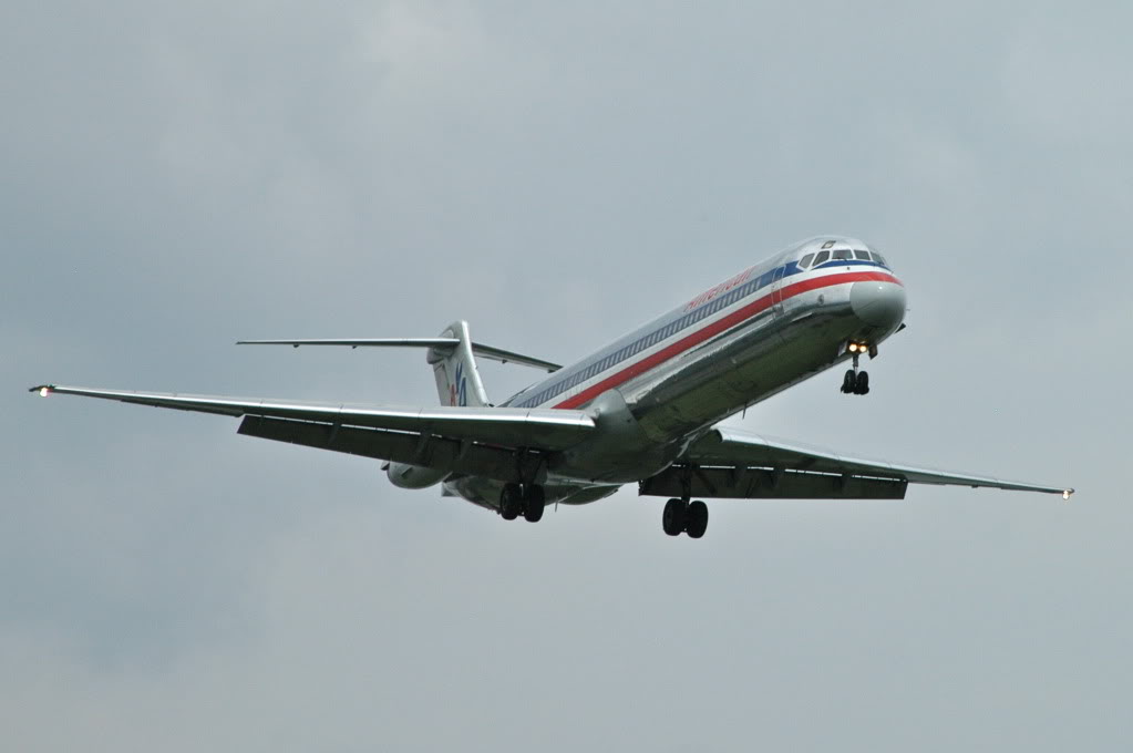 DSC_8450.jpg