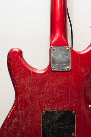 DSC_9540-M.jpg