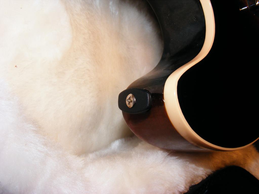 DSCF0029.jpg