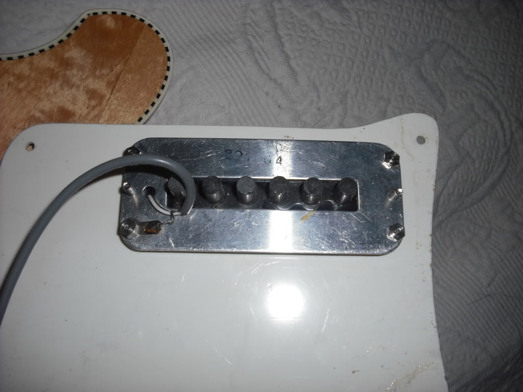 DSCF0041.jpg