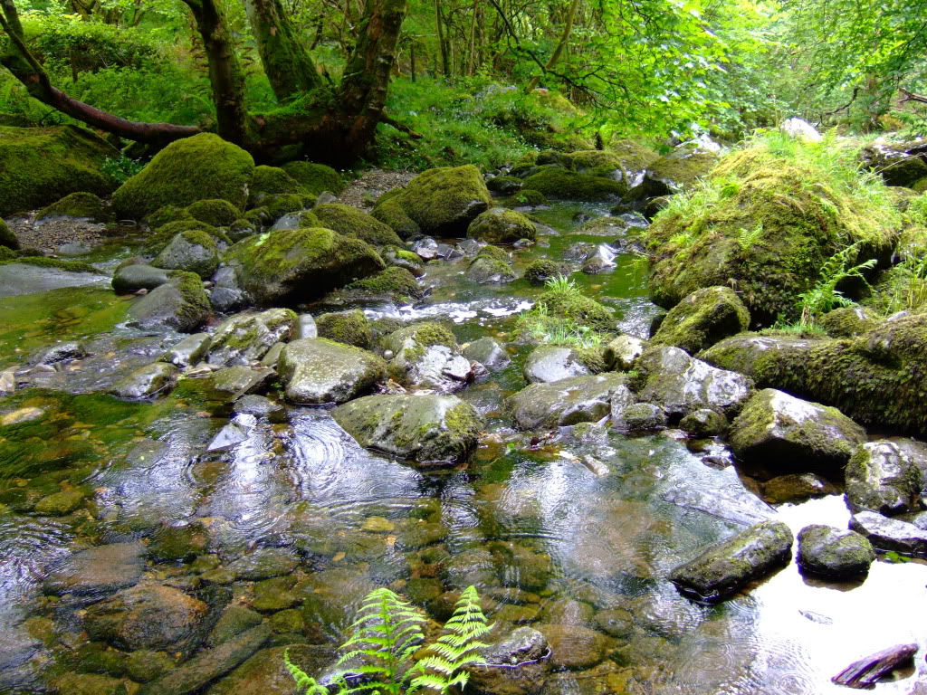 DSCF0077.jpg