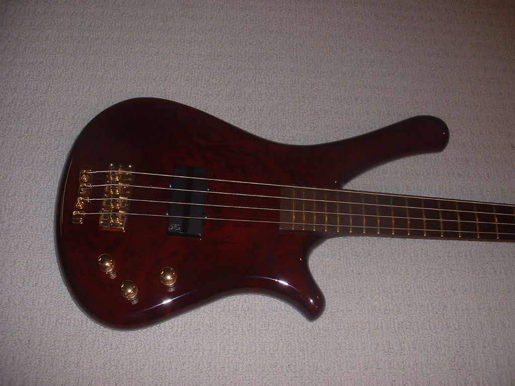 DSCF0305.jpg