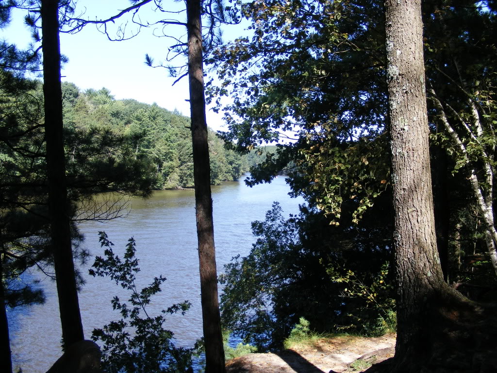 DSCF0417.jpg