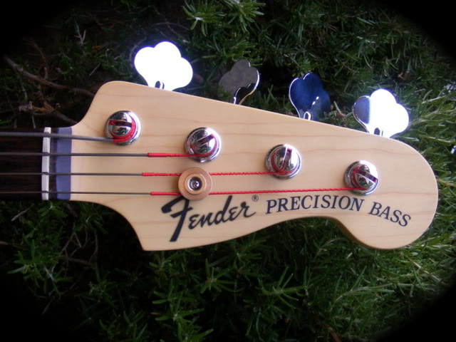 DSCF0808.jpg