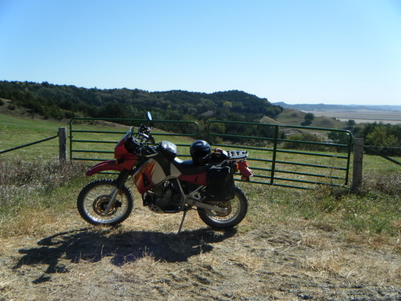 DSCF1126.jpg