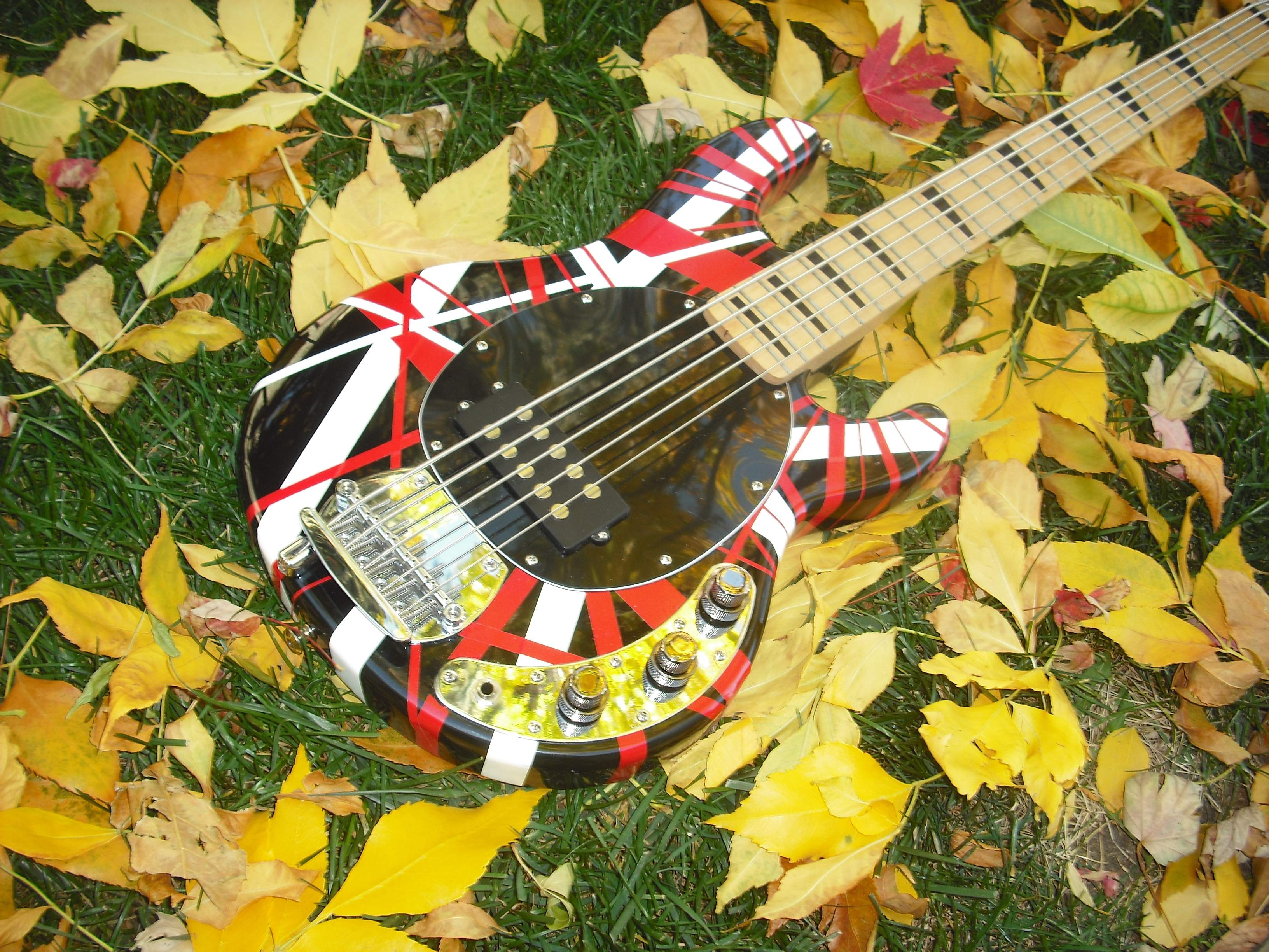 DSCF1228.JPG