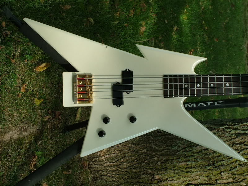 DSCF1293.jpg