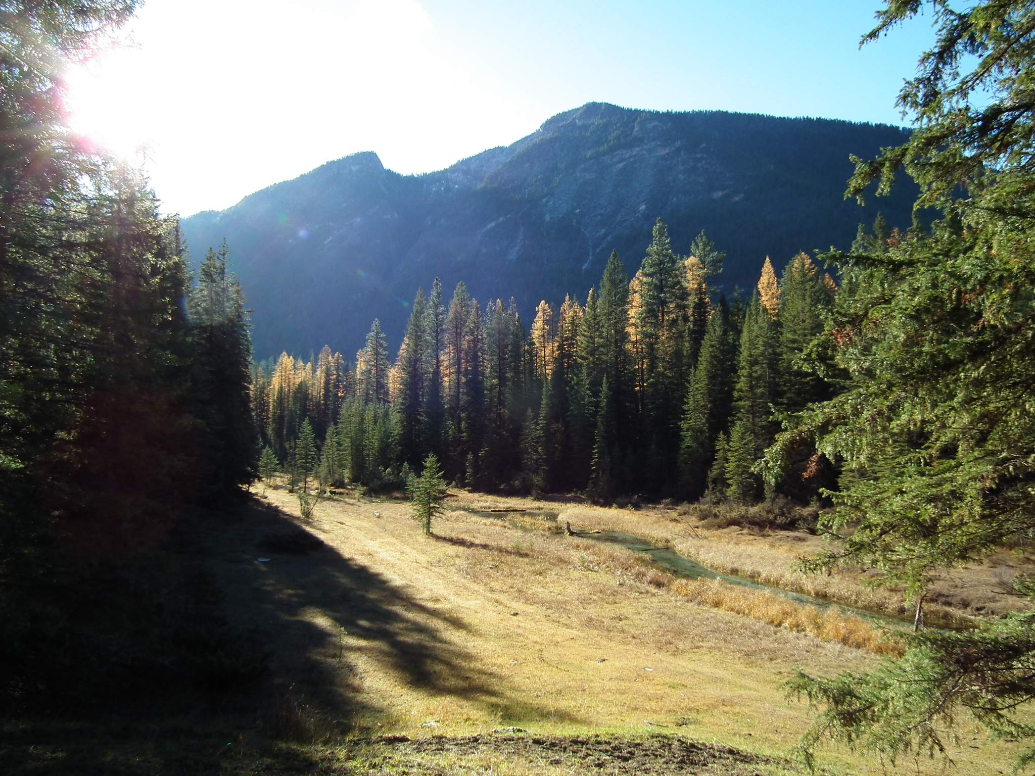 DSCF1687.JPG