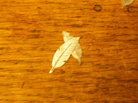 DSCF1859.jpg