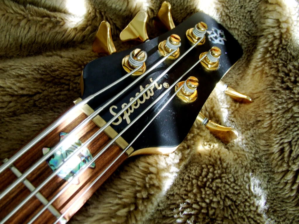 DSCF2798.jpg