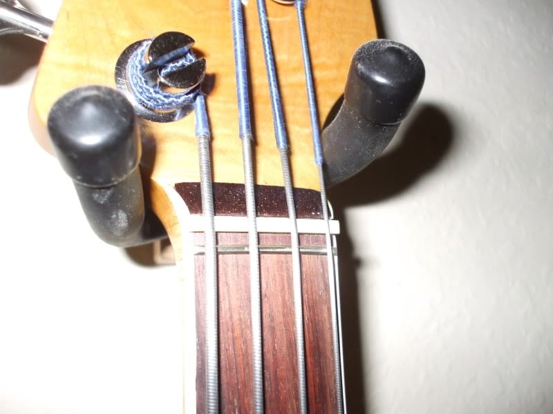 DSCF3504.jpg