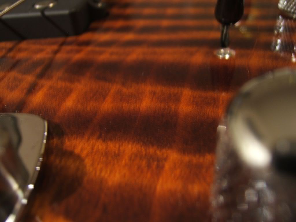 DSCF4081.jpg