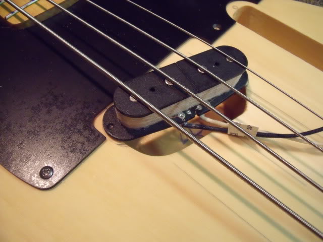 DSCF4116.jpg