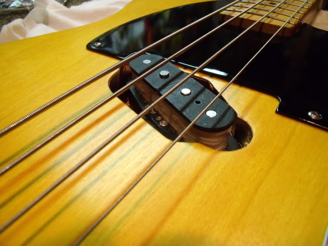 DSCF4313.jpg