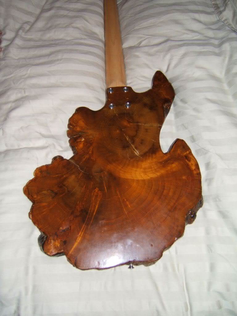 DSCF4946.jpg