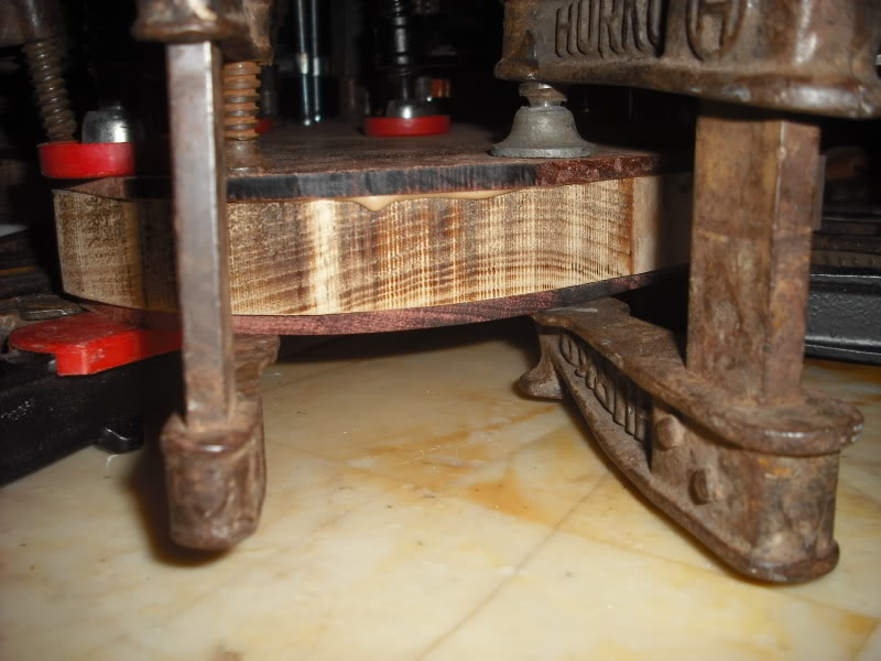 DSCF4993.jpg