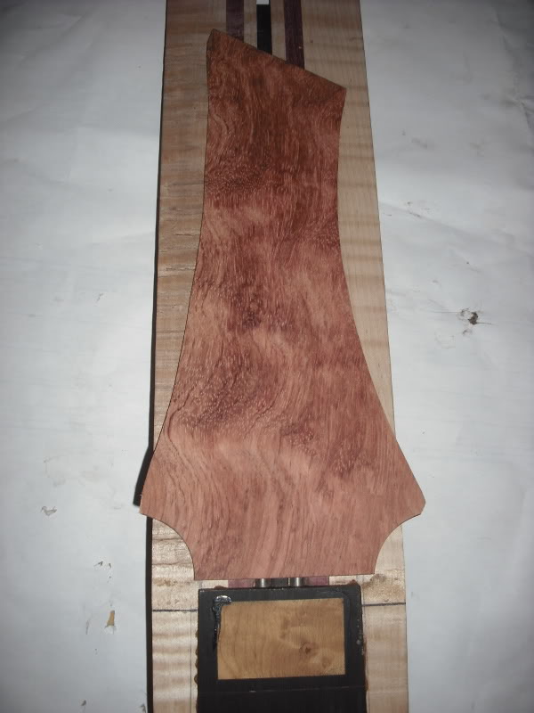 DSCF5006.jpg