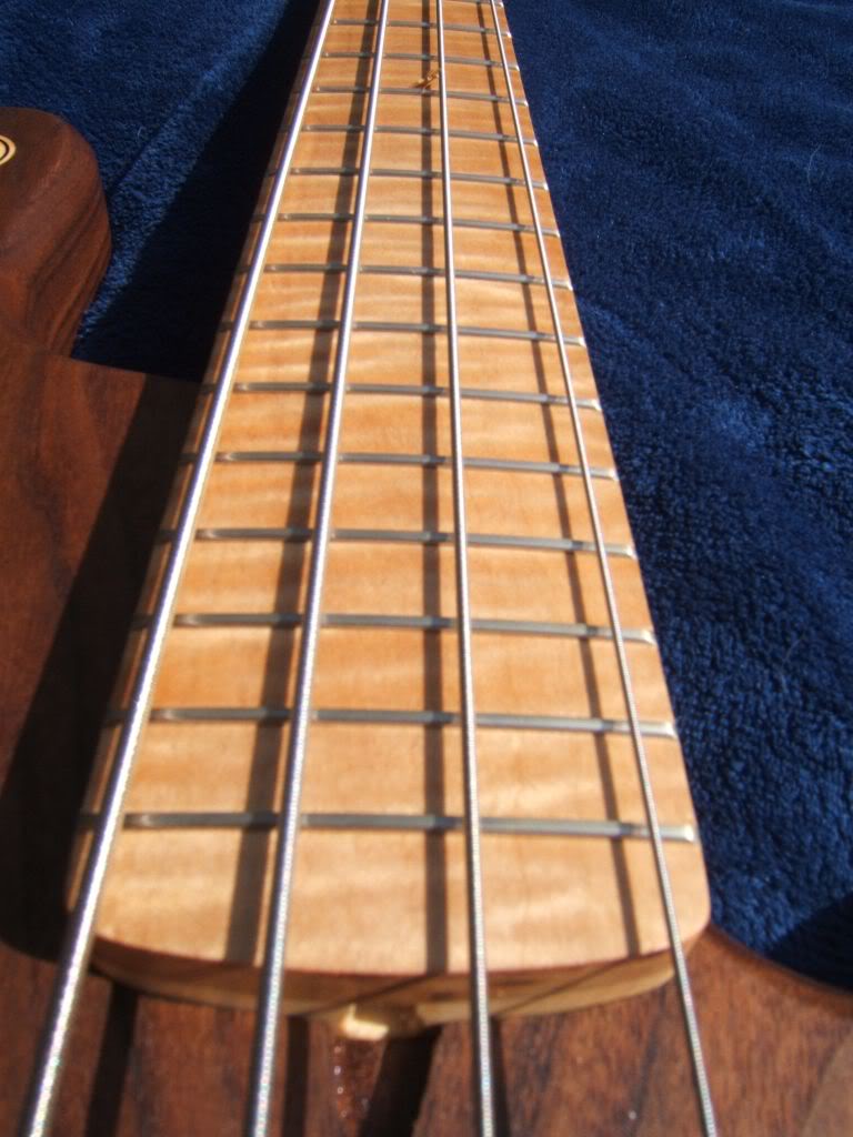 DSCF5345.jpg