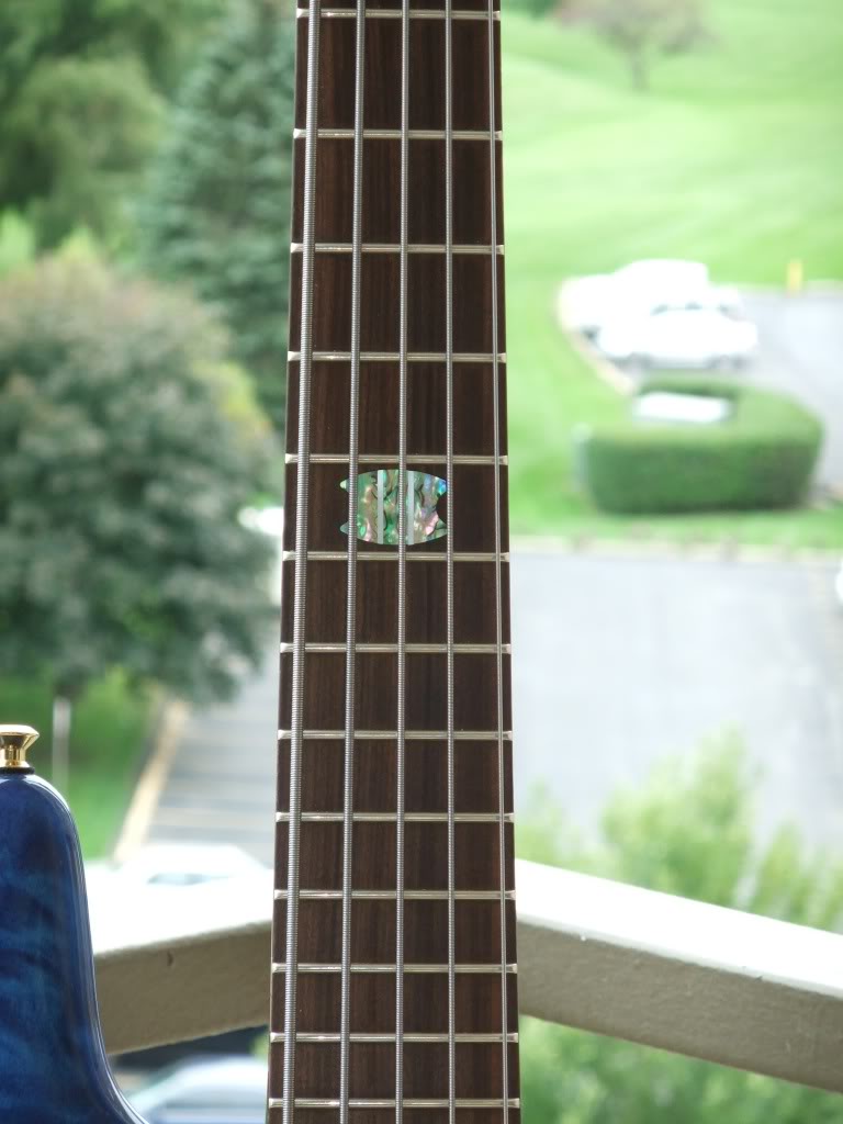 DSCF6254.jpg