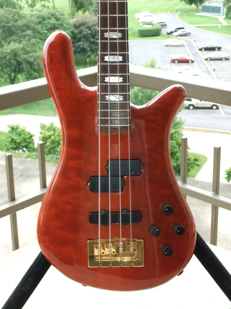 DSCF6338.jpg