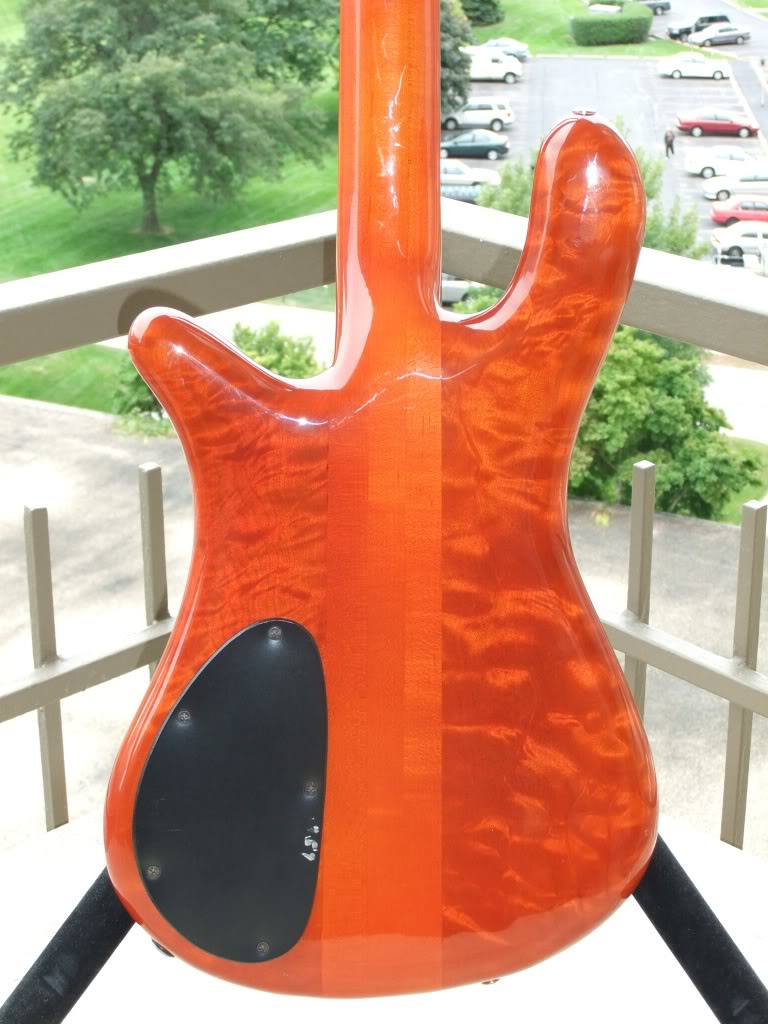 DSCF6342.jpg
