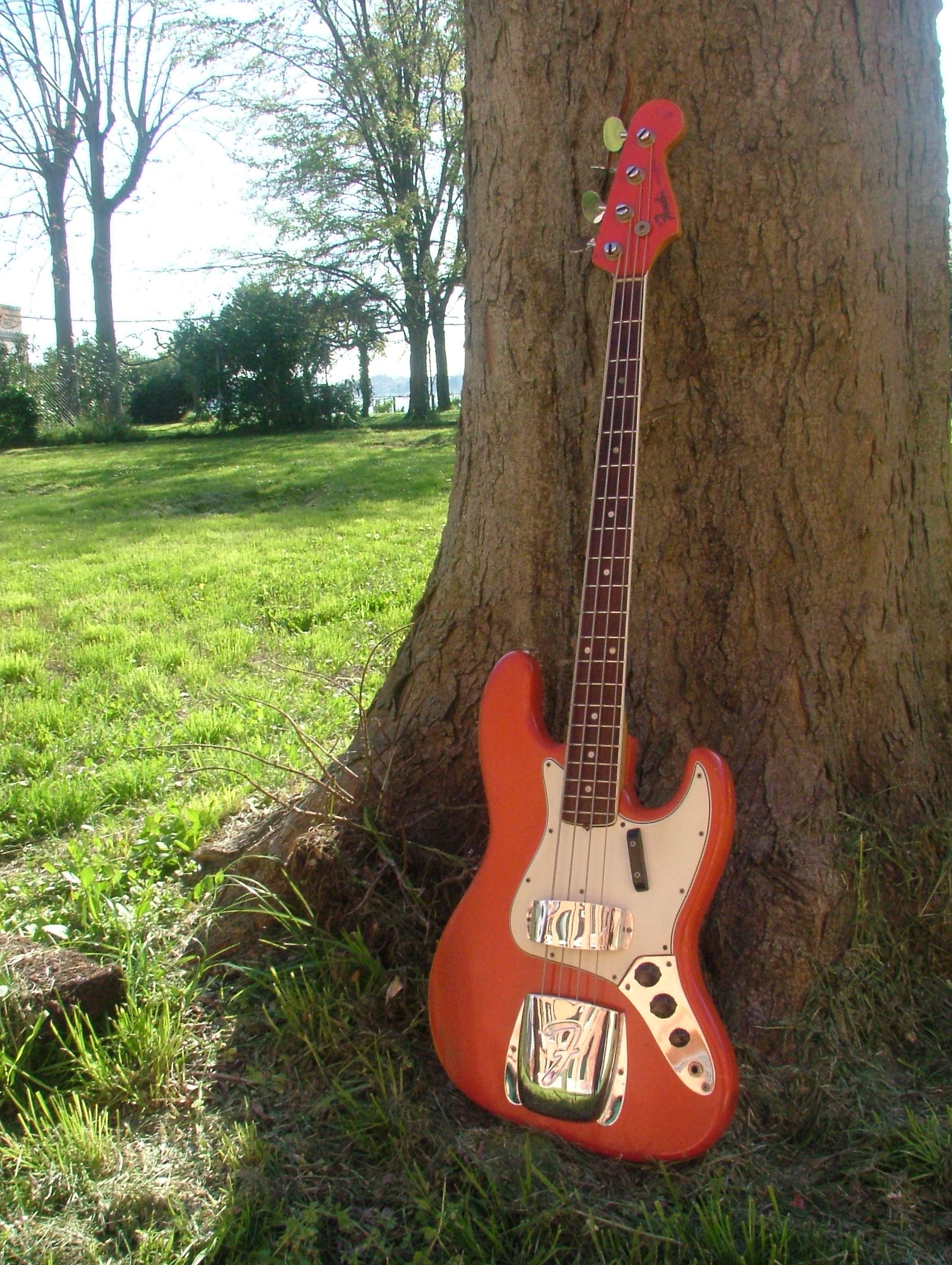 DSCF7002.JPG