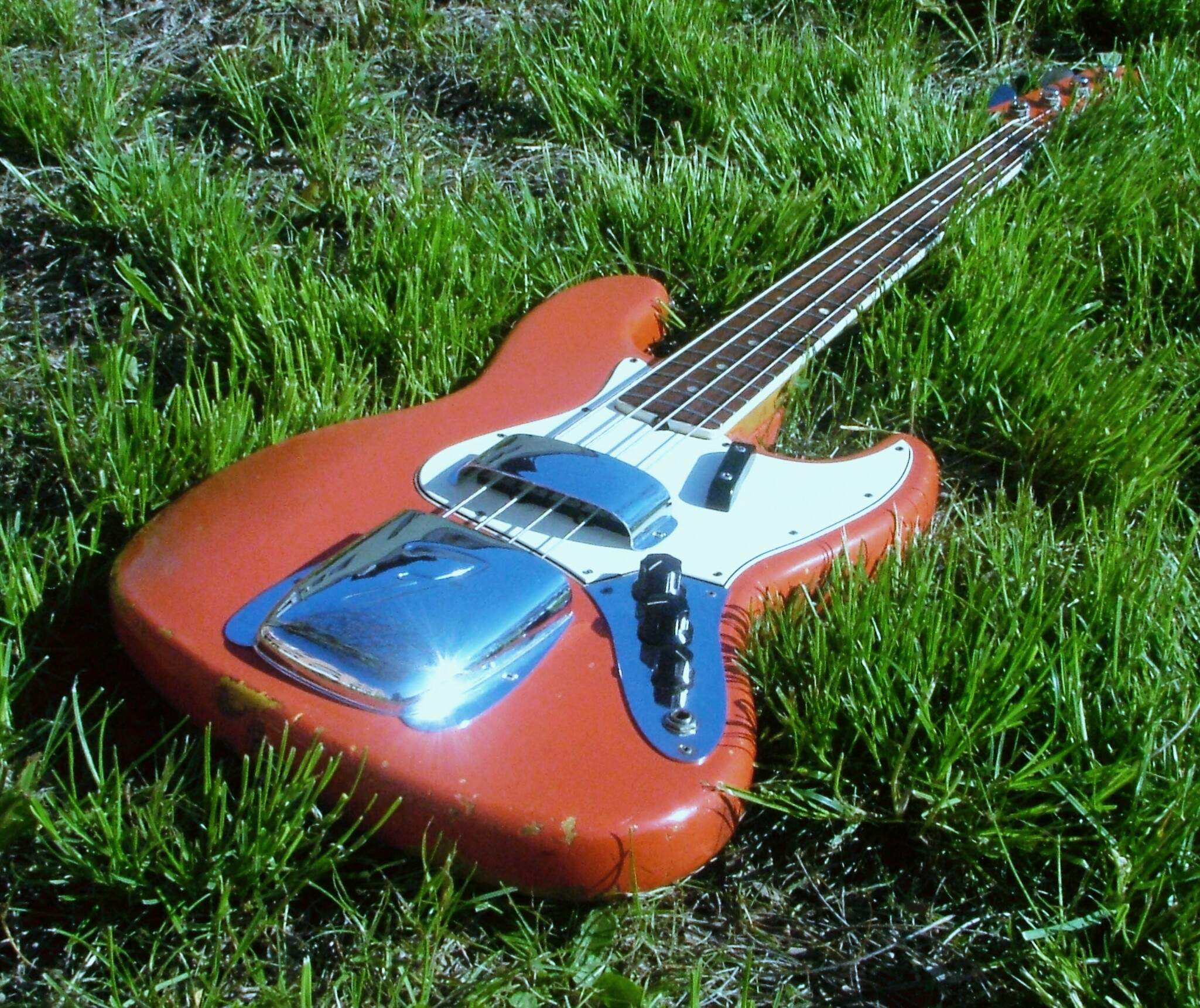 DSCF7029_1.jpg