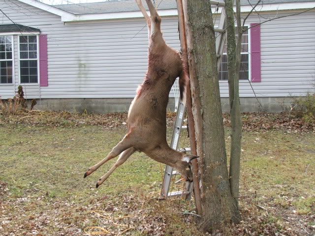 DSCF8433.jpg