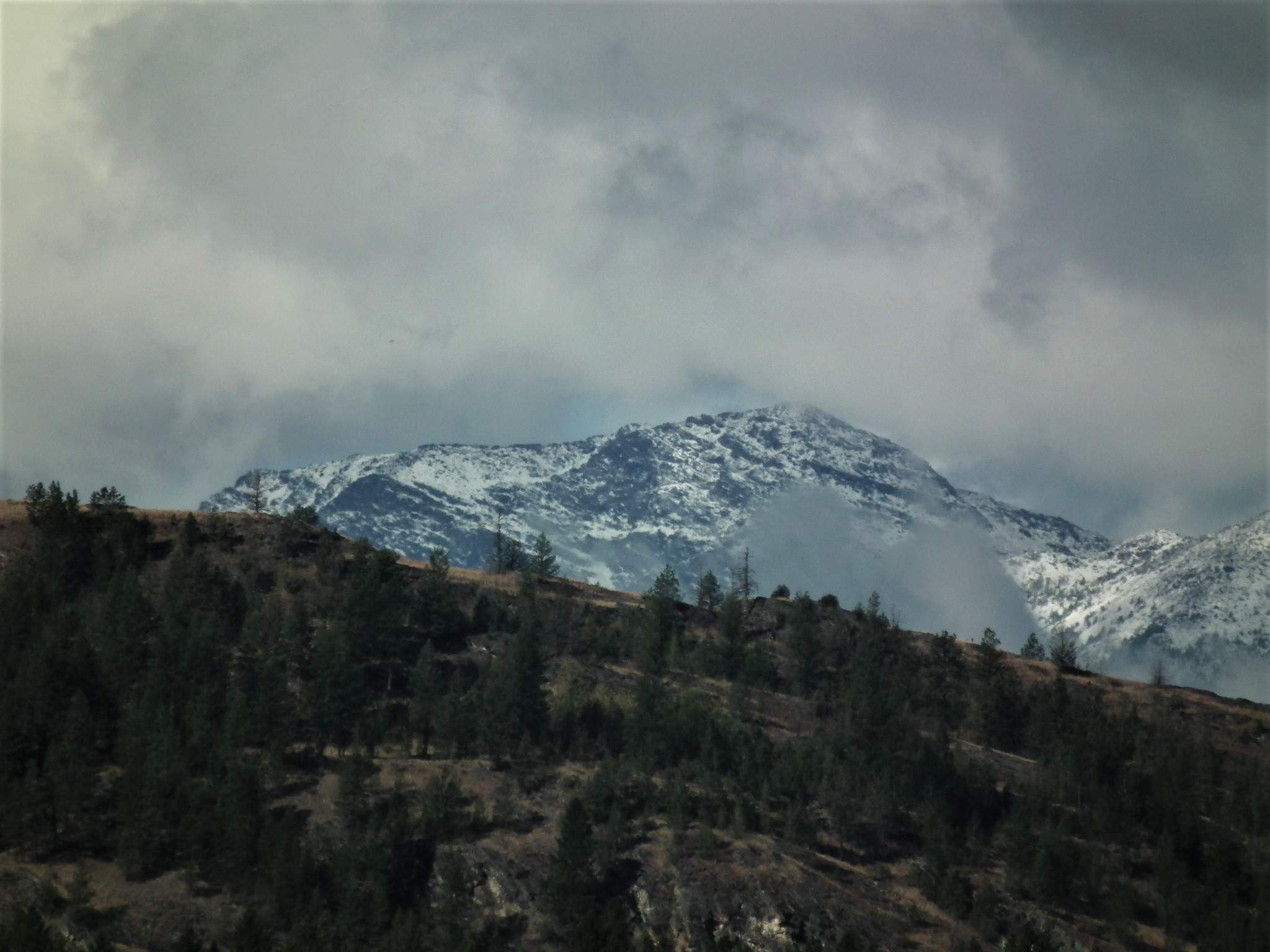 DSCF8973 (2).JPG