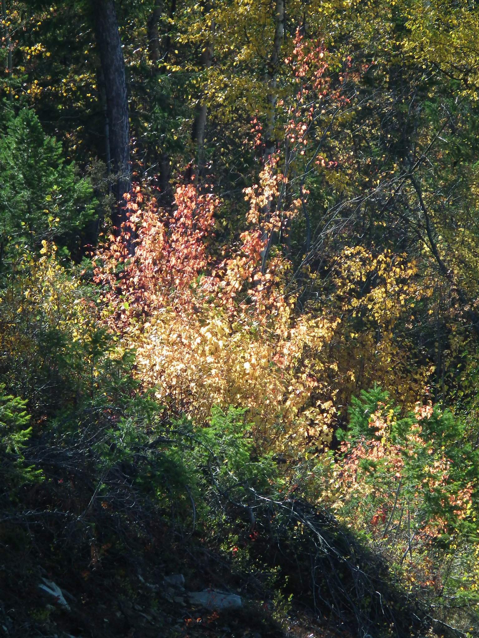 DSCF9386.JPG