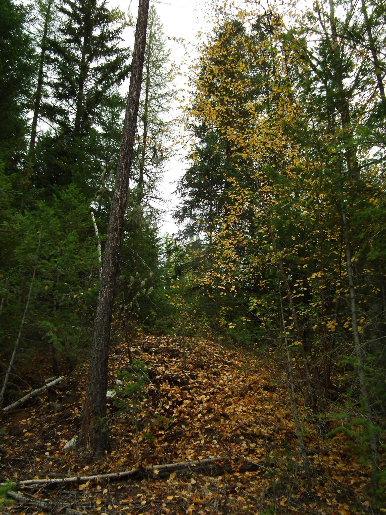 DSCF9429.JPG