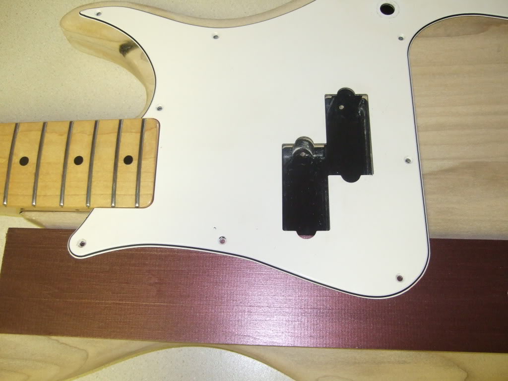 DSCF9515.jpg