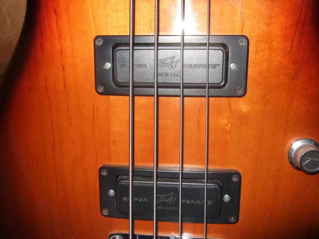 DSCF9534.jpg