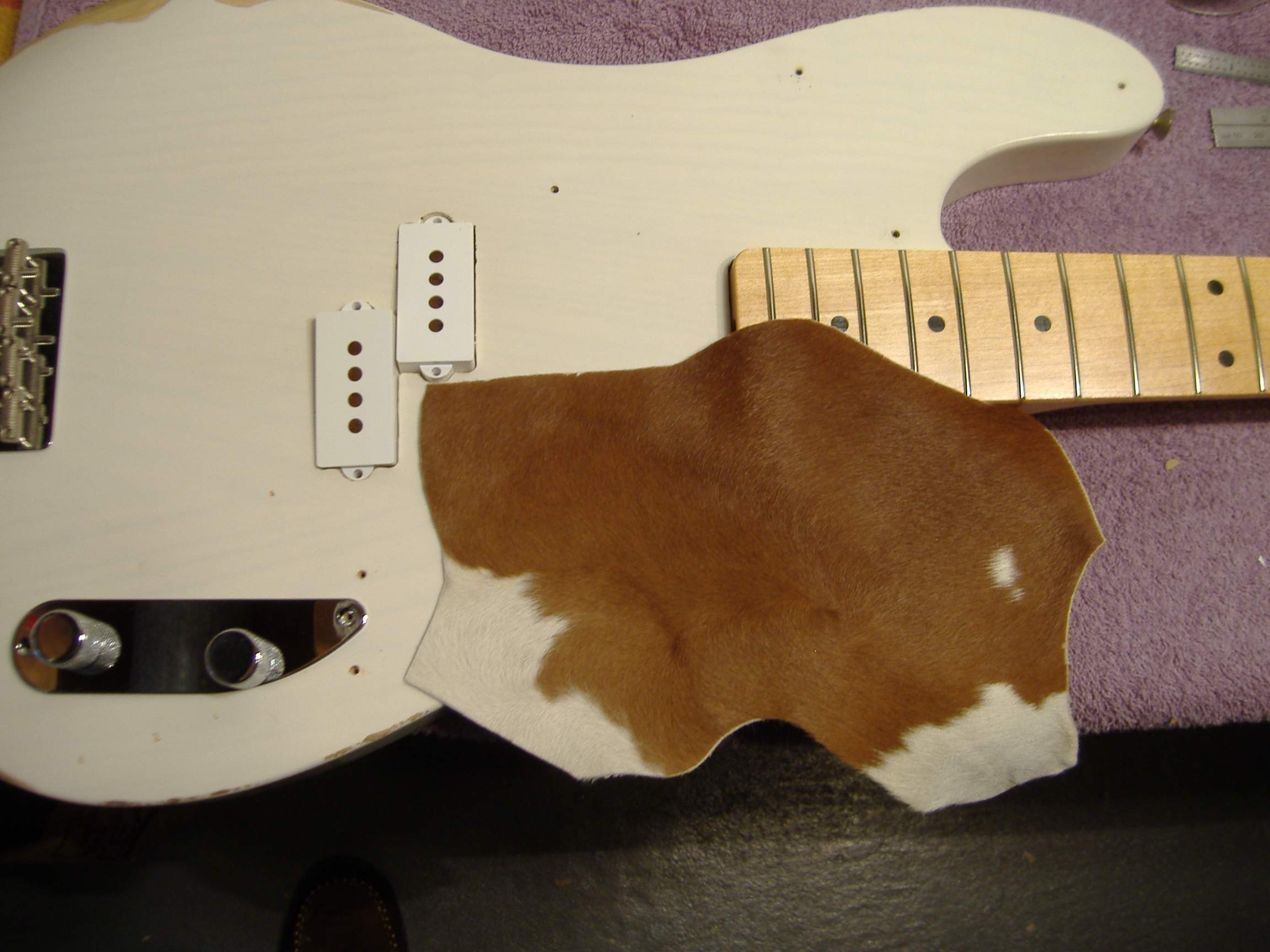 DSCF9616.JPG