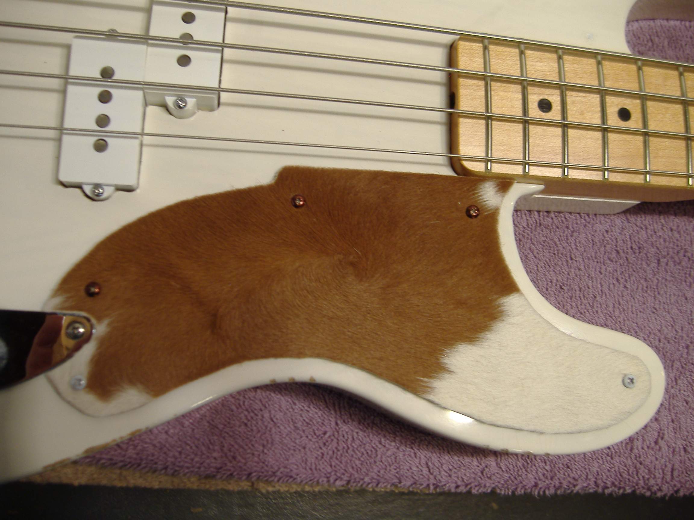 DSCF9633.JPG