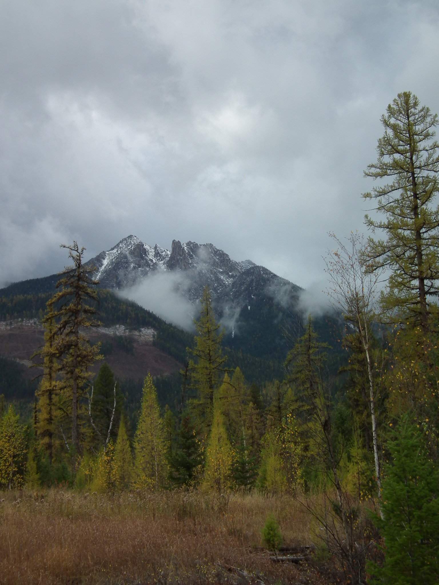DSCF9782.JPG