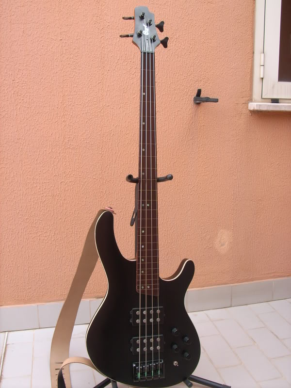 DSCI0015-1.jpg