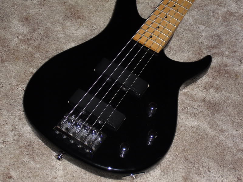 DSCI0531.jpg