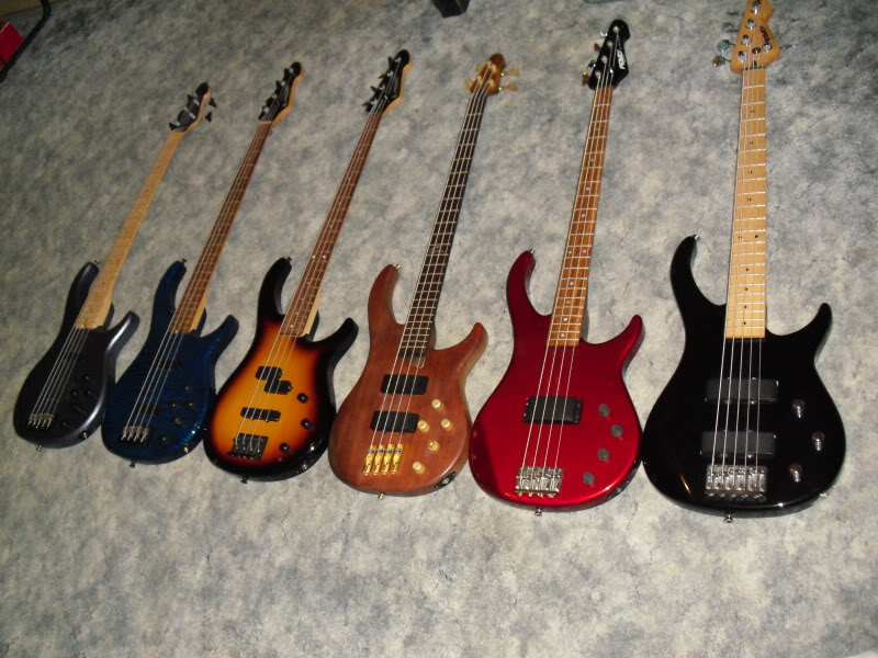 DSCI0547.jpg