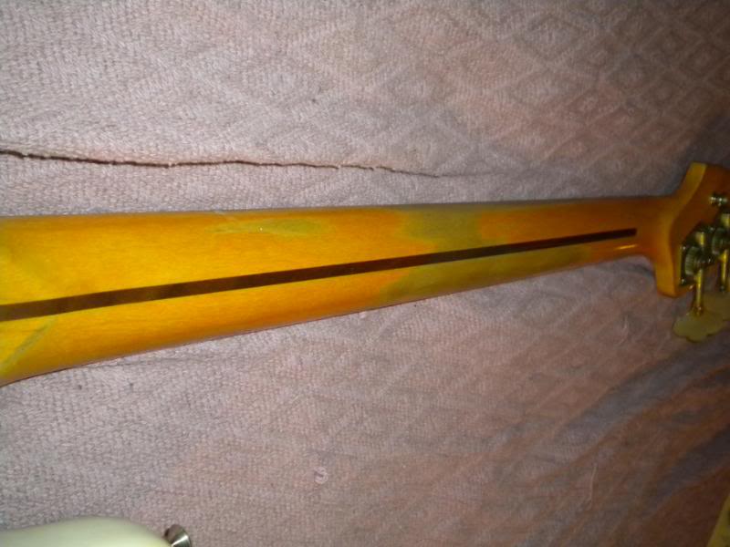 DSCN0087.jpg