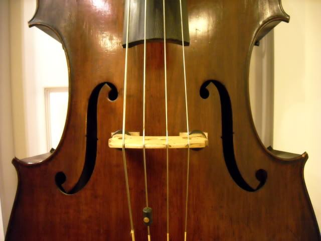 DSCN0092.jpg