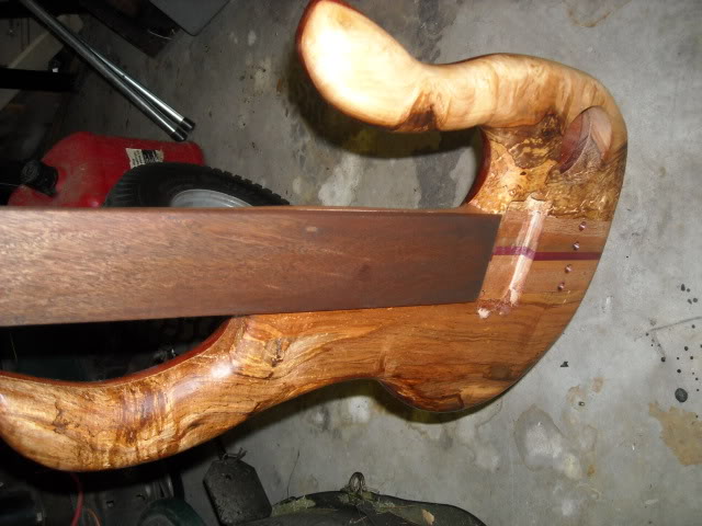 DSCN0095.jpg