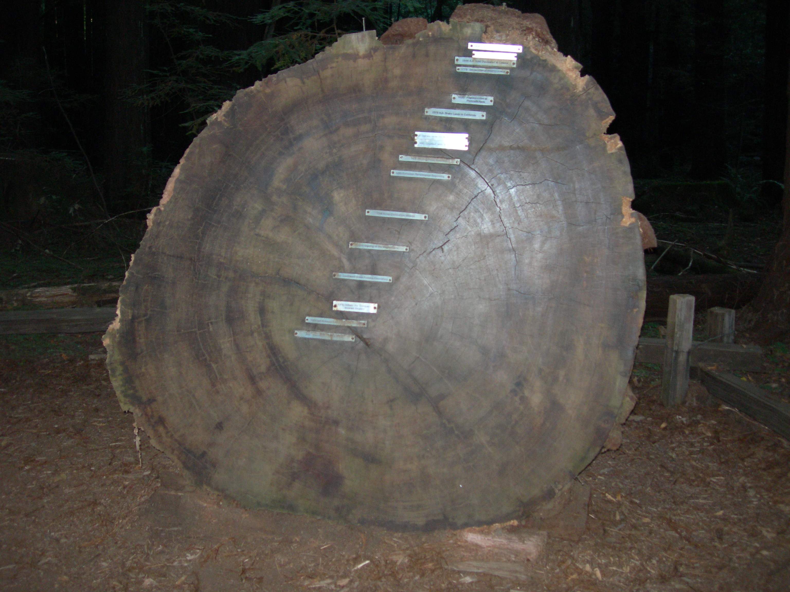 DSCN0104.JPG